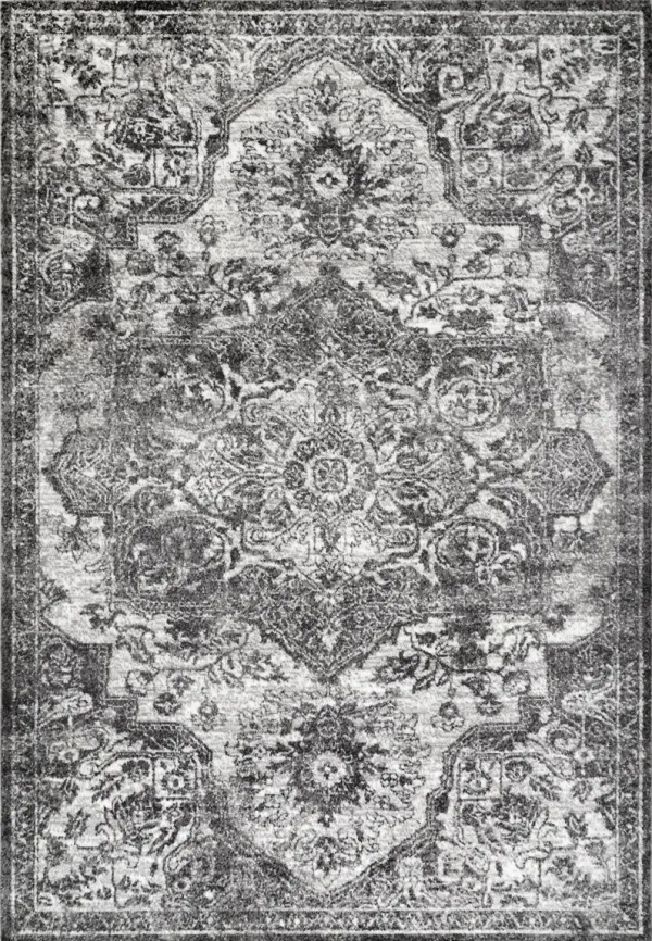 Whitny Shaded Medallion Rug