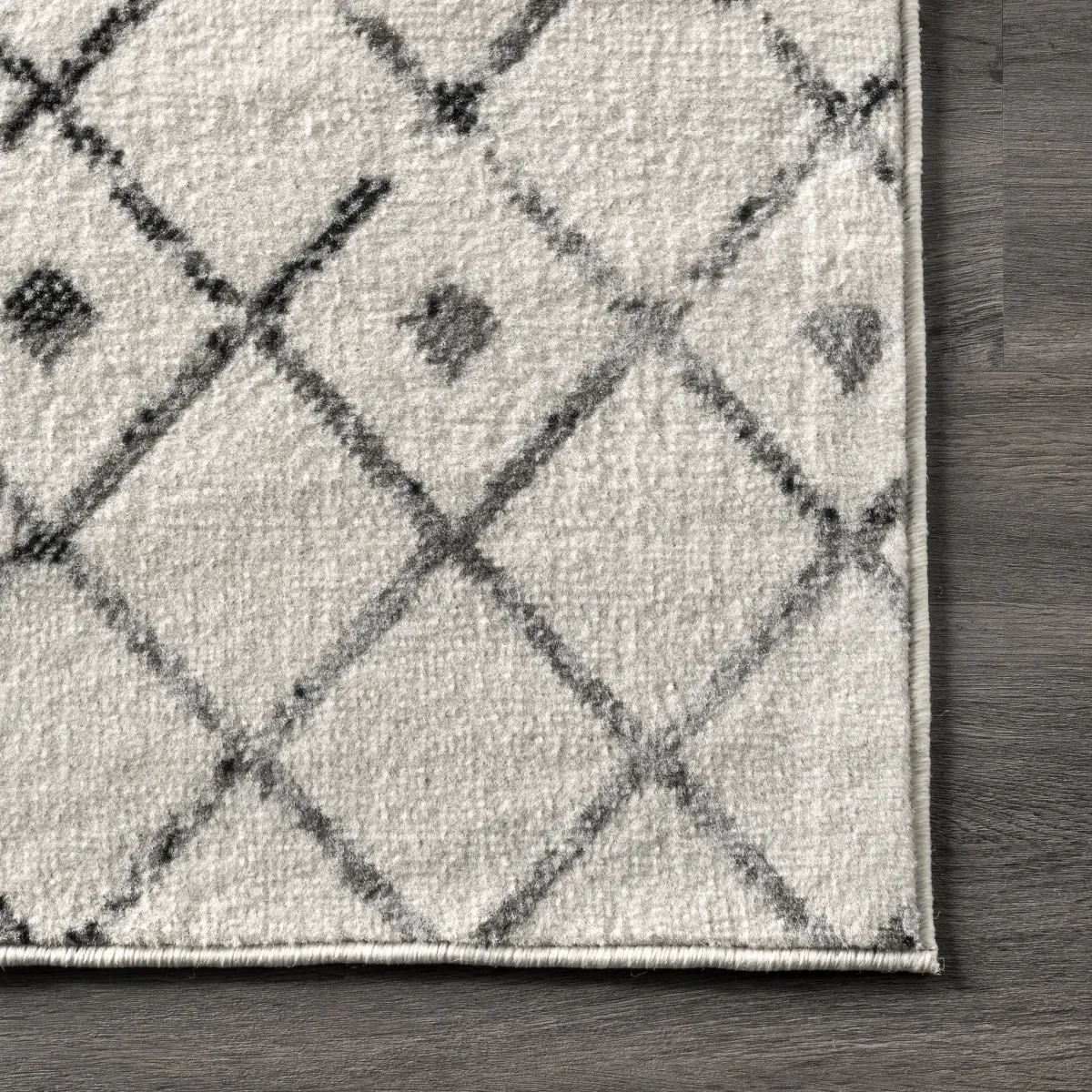 Kendyll Modern Trellis Rug