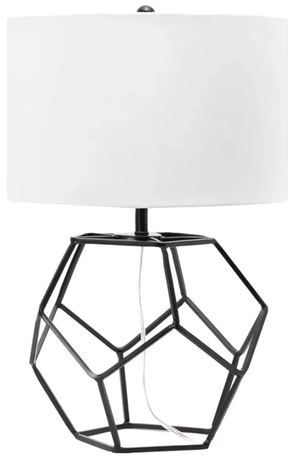 21-inch Iron Wire Framed Globe Table Lamp