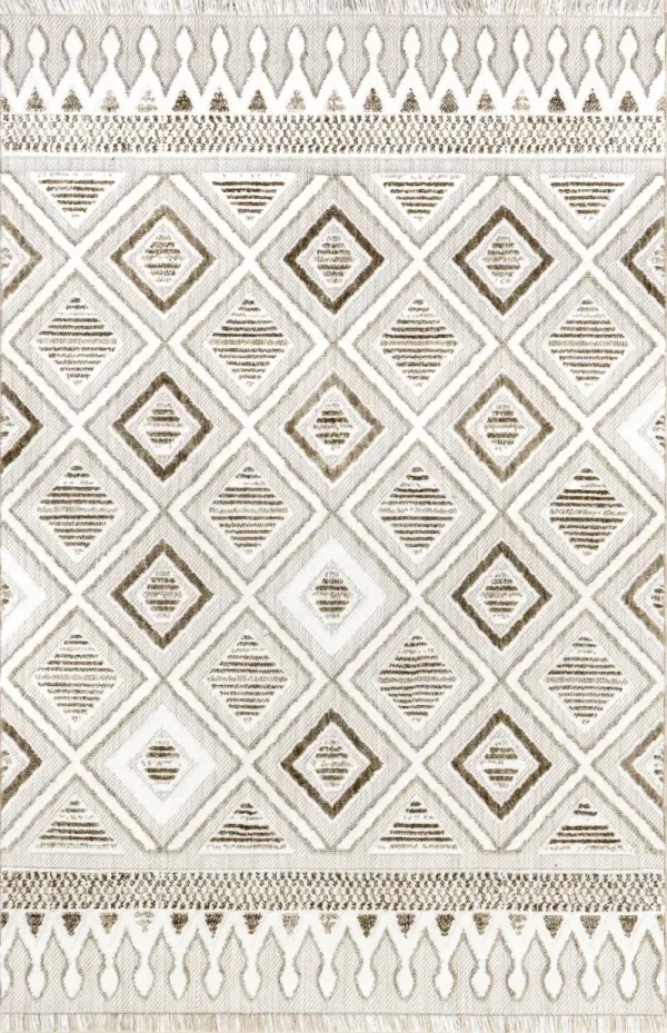 Cathleen Iridescent Bordered Rug