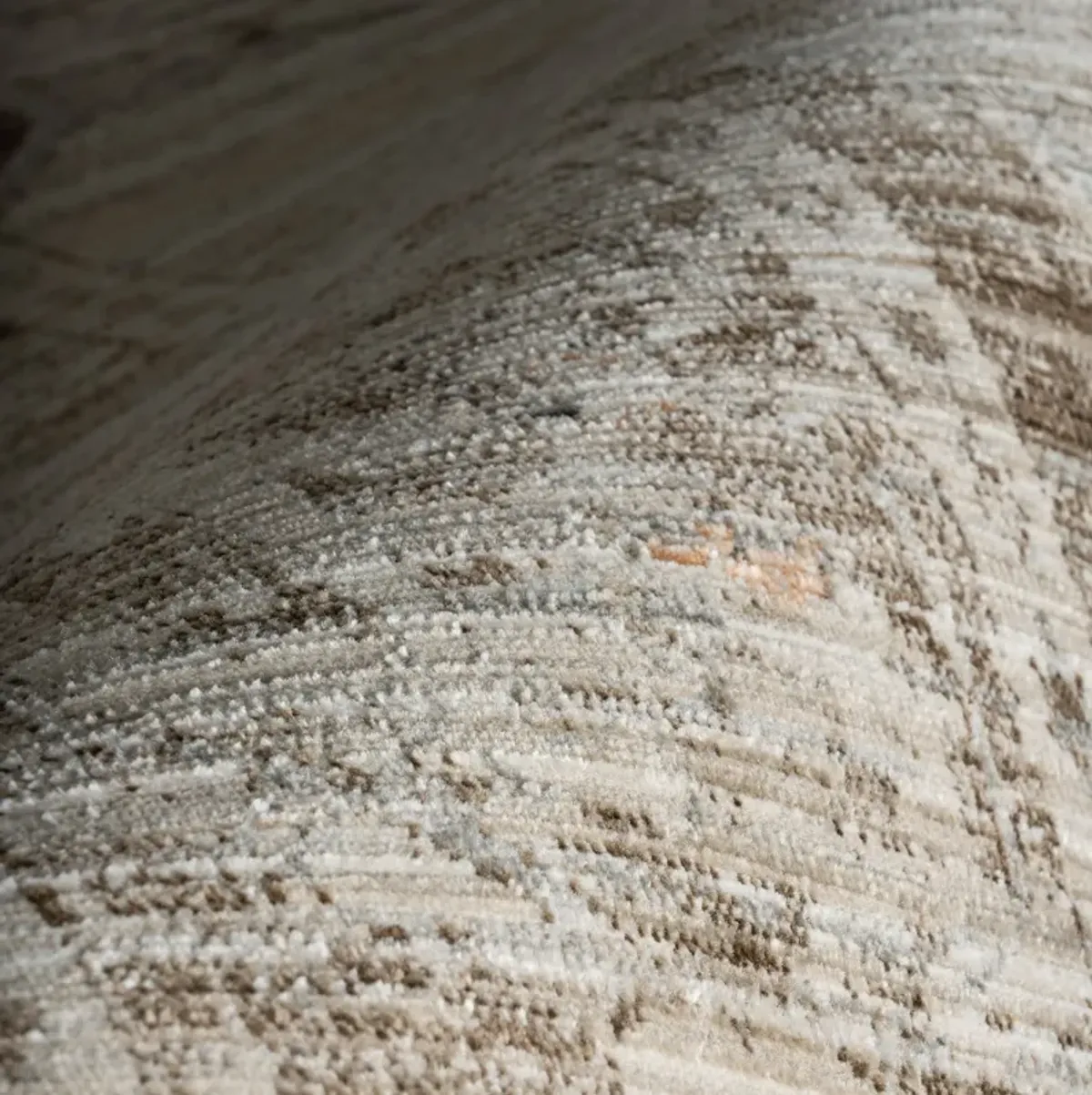 Zelly Medallion Washable Indoor/Outdoor Rug