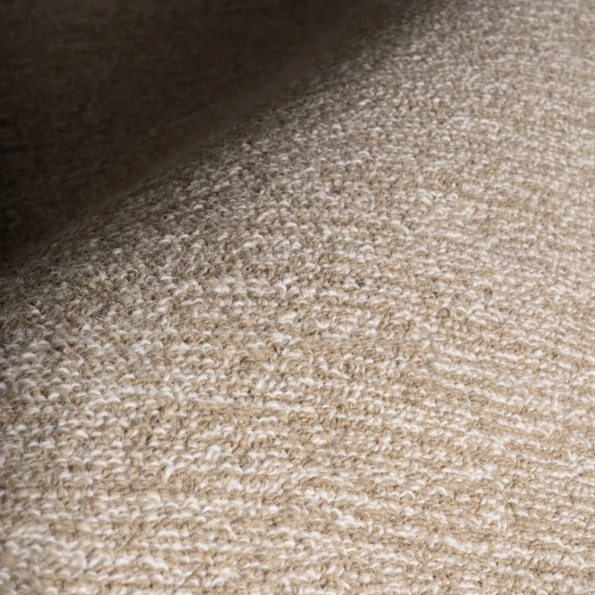 Broaun Solid Bordered Rug