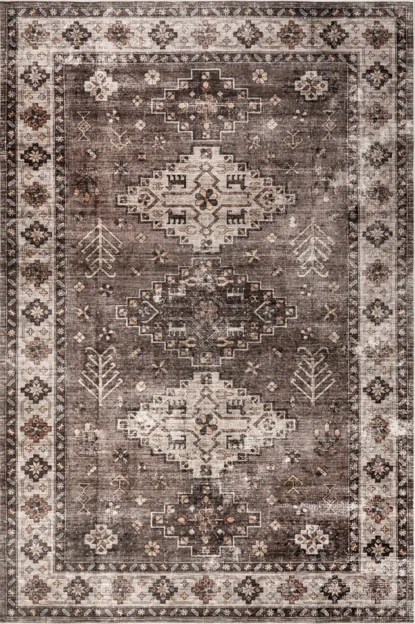 Barbary Distressed Spill Proof Washable Rug