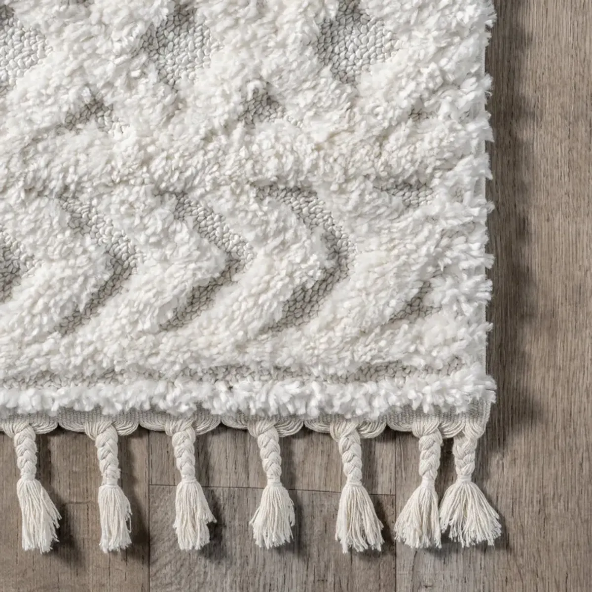 Ramira Raised Trellis Rug