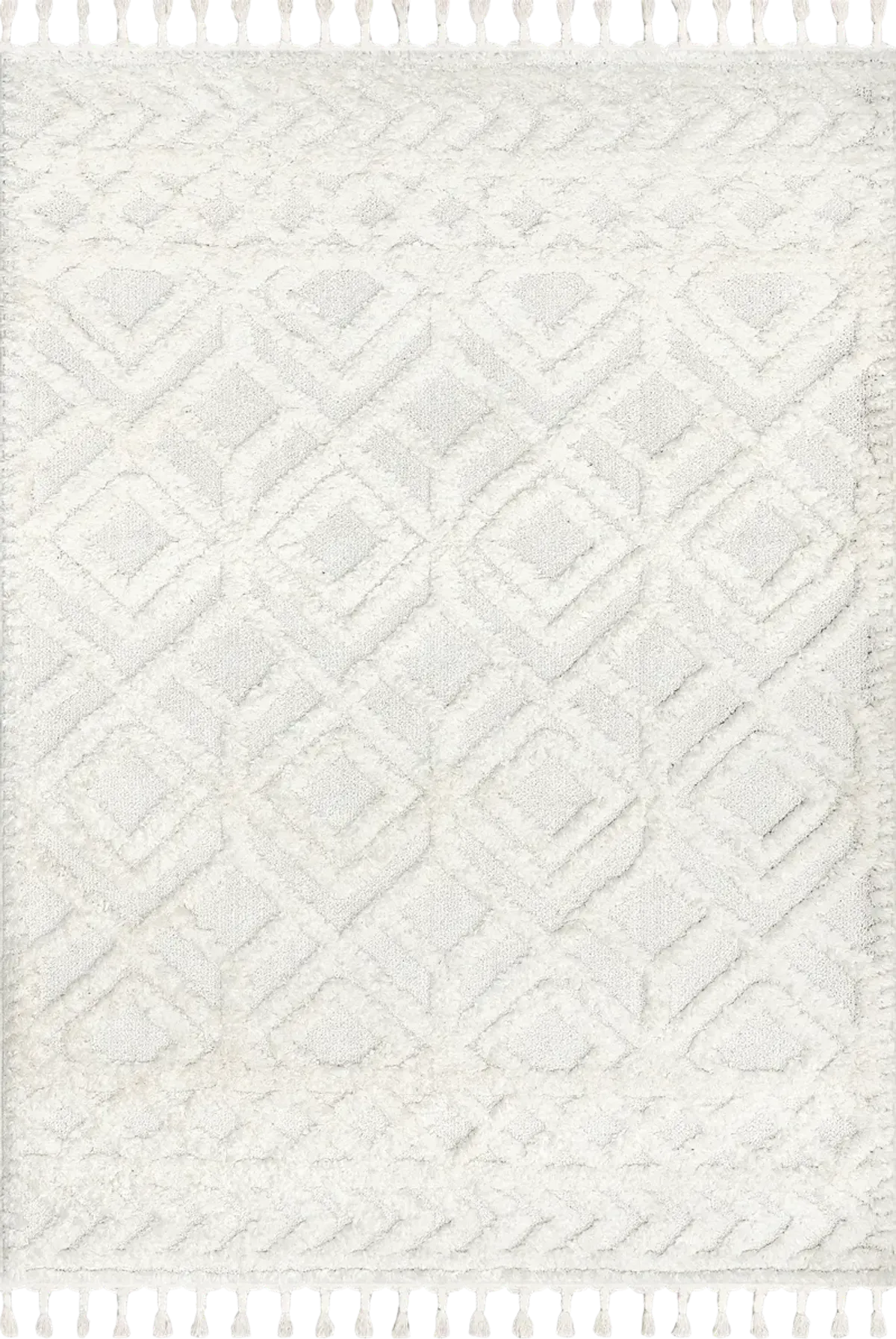 Ramira Raised Trellis Rug