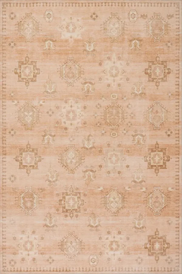 Brenda Hazy Heraldry Spill Proof Washable Rug