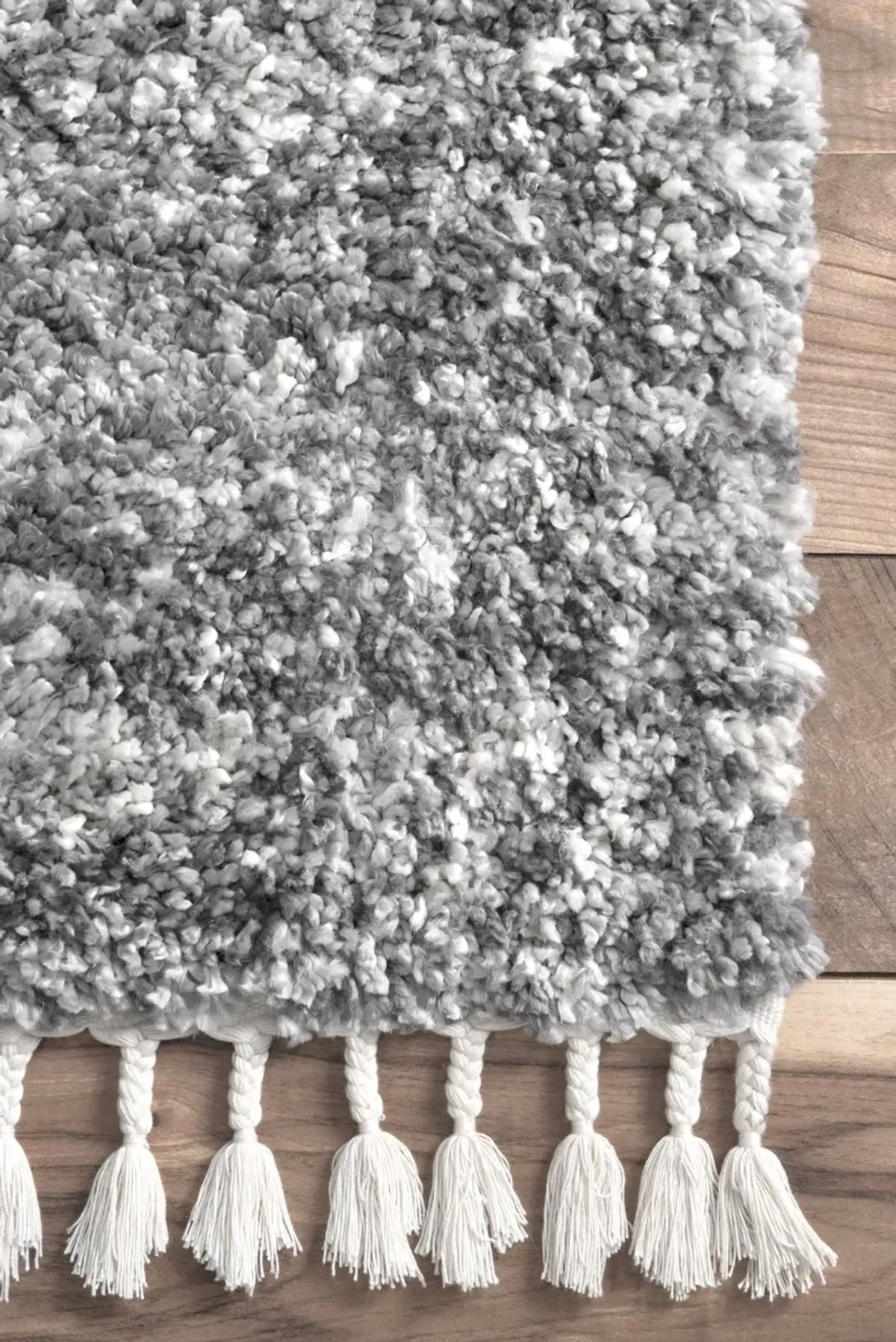 Shaded Shag With Tassels Rug