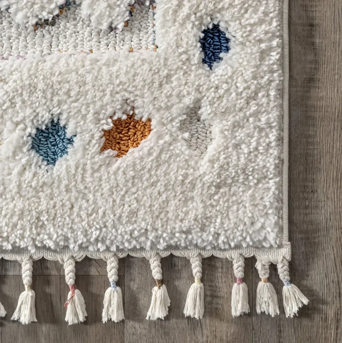 Kenzie Carved Shag Rug