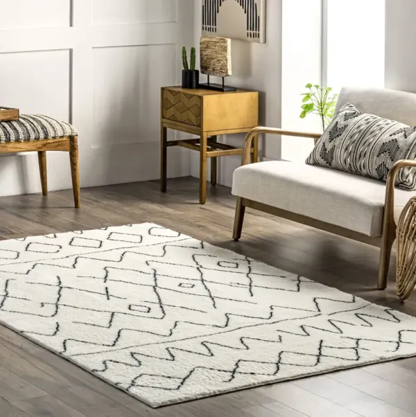 Deanna Washable Shag Rug