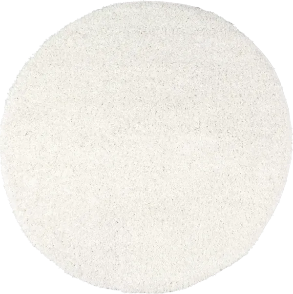 Plush Solid Shaggy Rug