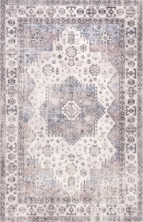 Jolie Distressed Medallion Rug