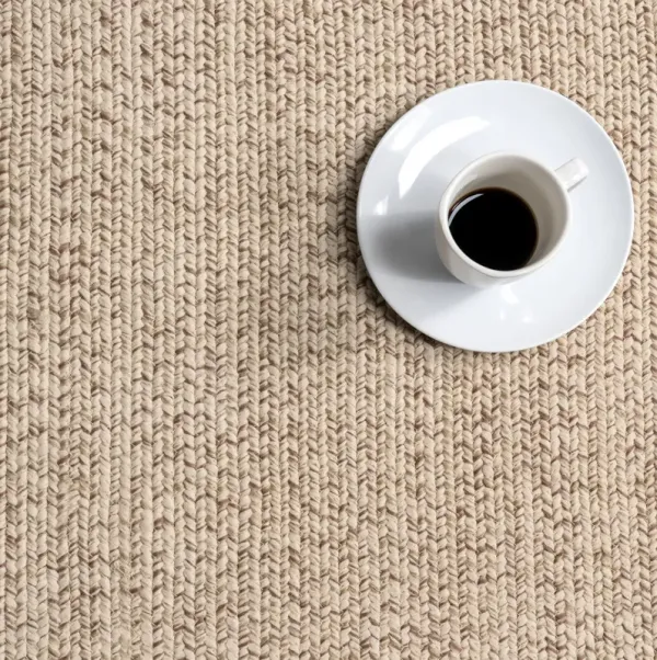 Everywhere Hand-Braided Indoor/Outdoor Rug