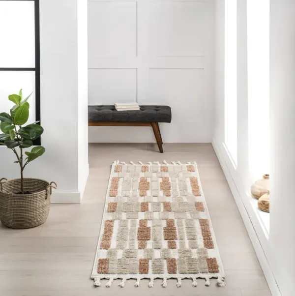 Valli Textured Geometric Tasseled Rug