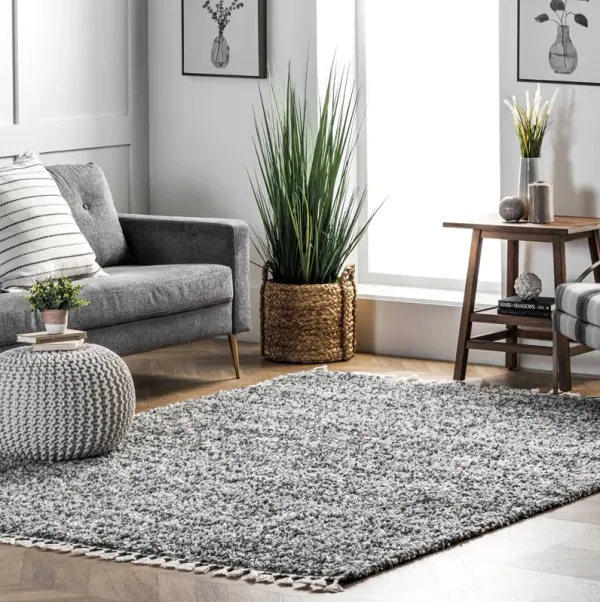 Shaded Shag With Tassels Rug