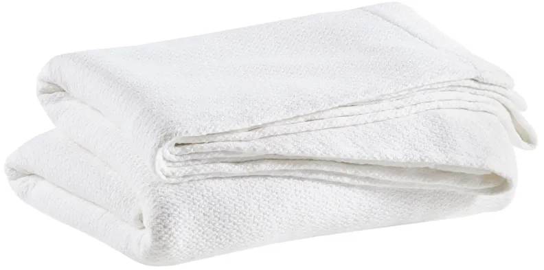 Quinn Cotton Blanket
