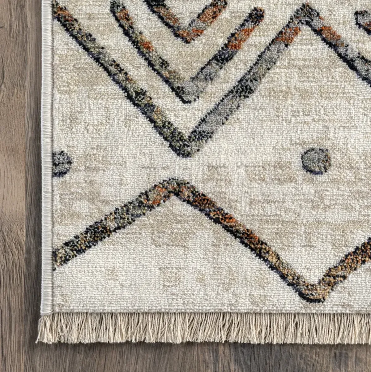 Aubrey Paneled Fringed Rug