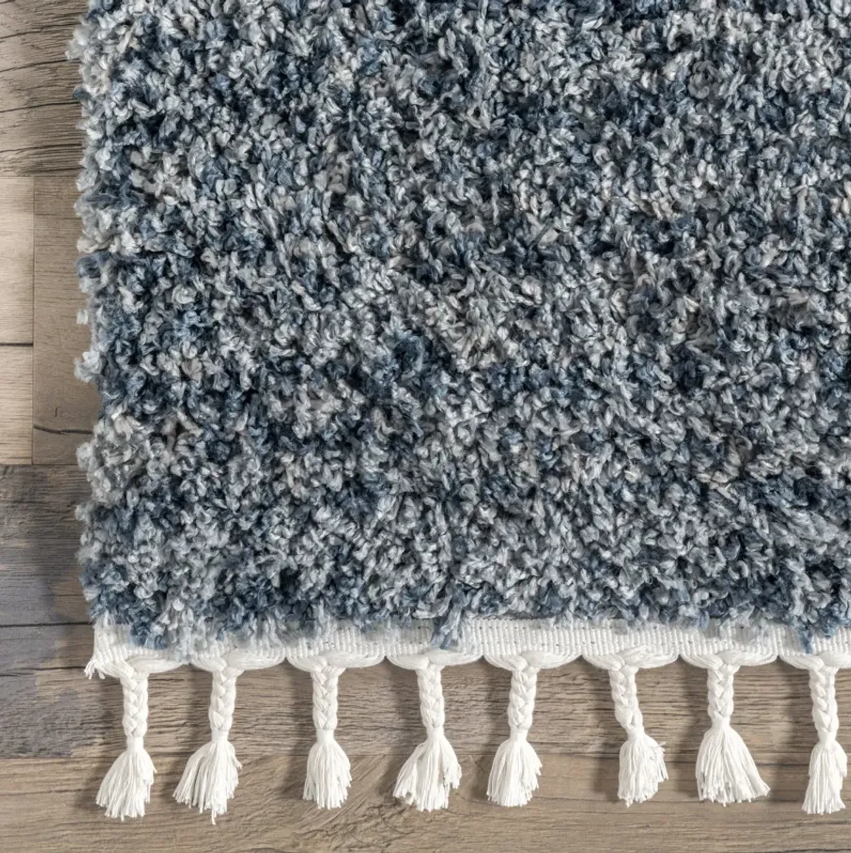 Shaded Shag With Tassels Rug