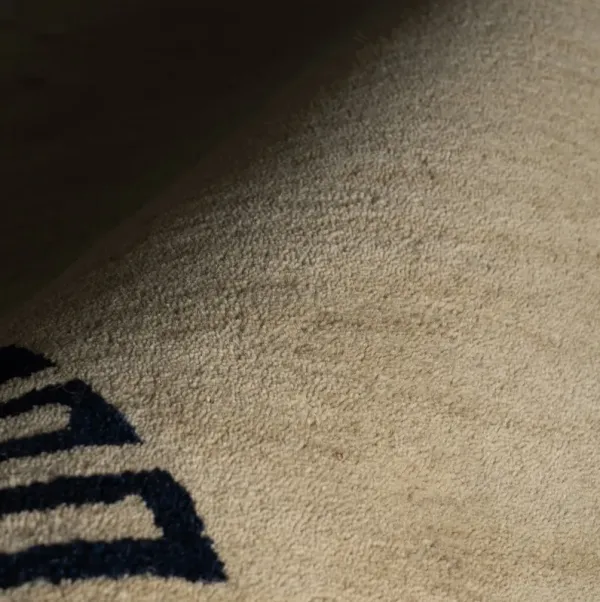 Taya Modern Bordered Rug
