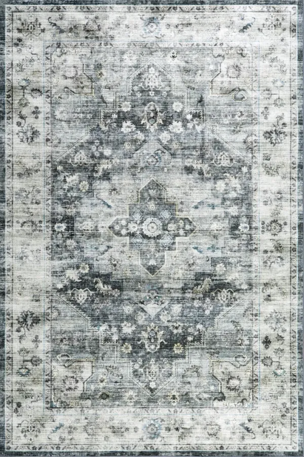 Kairi Medallion Spill Proof Washable Rug