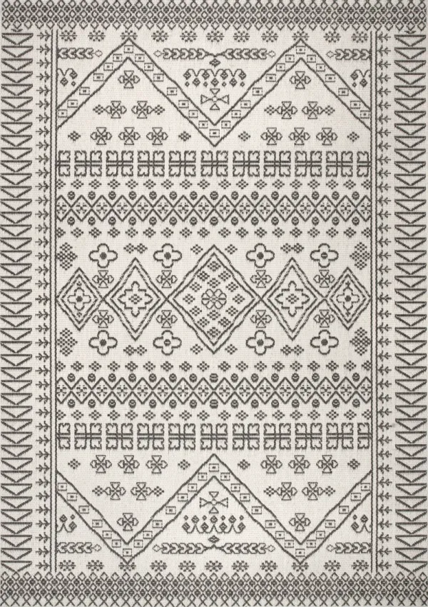 Diamond Bordered Indoor/Outdoor Rug