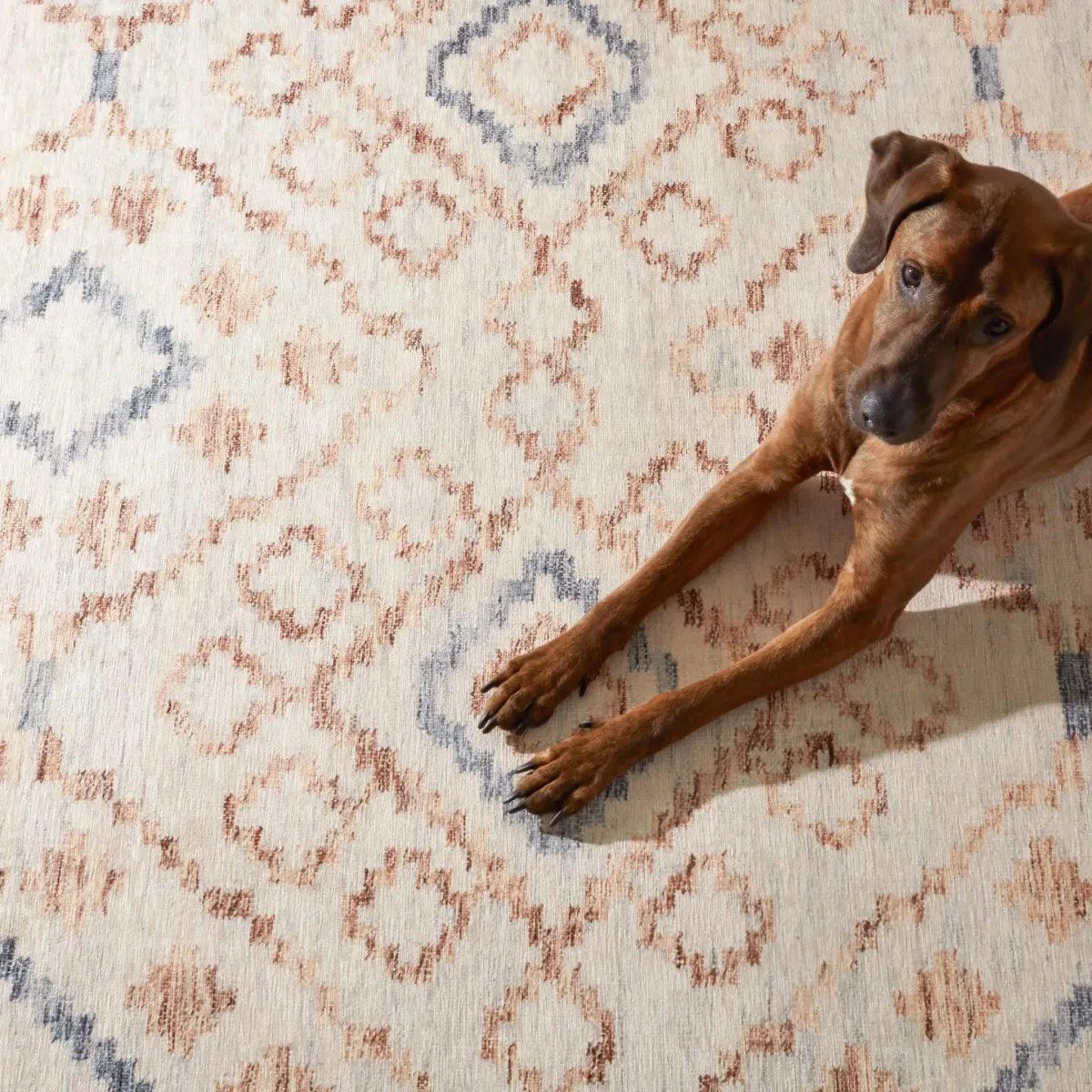 Jelly Roll Machine Washable Rug