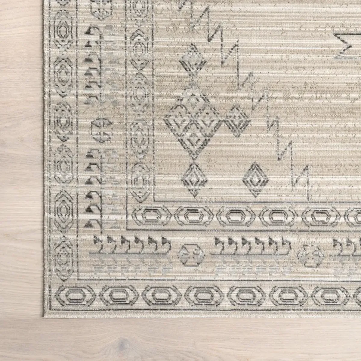 Oakley Simple Medallion Indoor/Outdoor Washable Rug