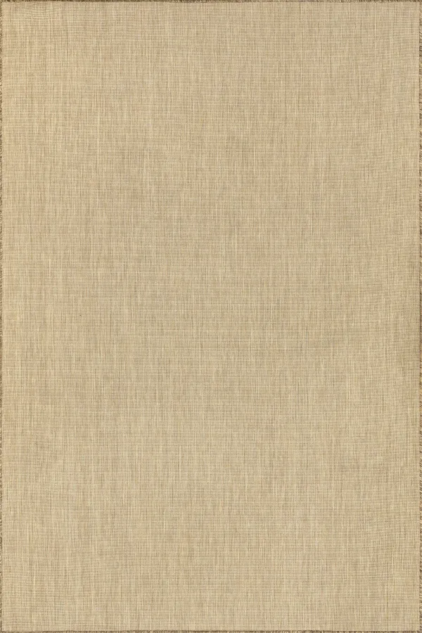 Dorinda Hazy Solid Indoor/Outdoor Rug