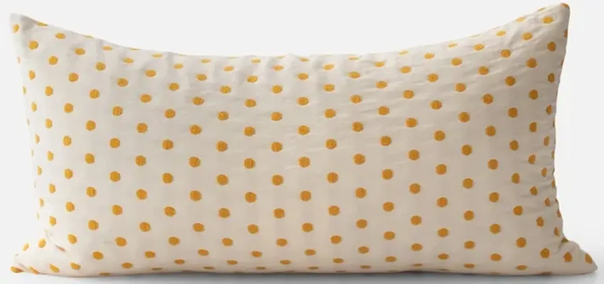 Polka Dot Pillow
