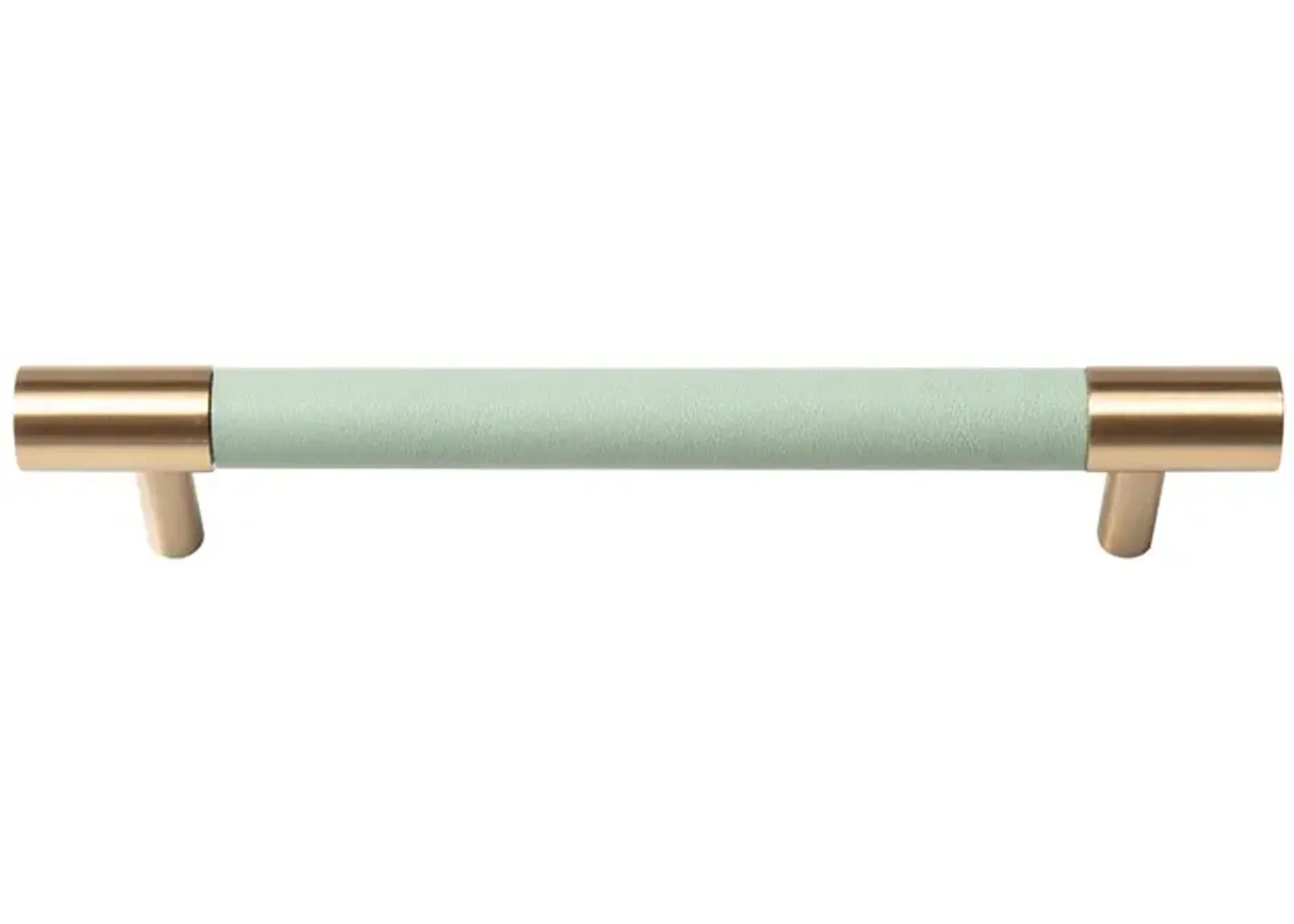 Leather & Brass Handle 5" - Light Green