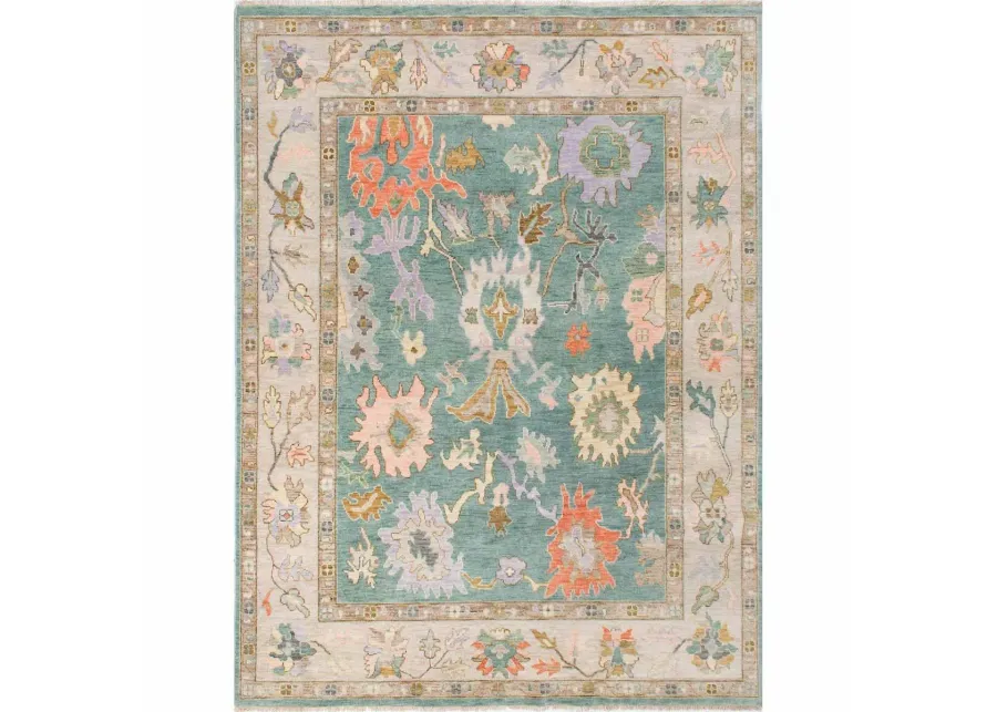 Chapin Turkish Knot Rug