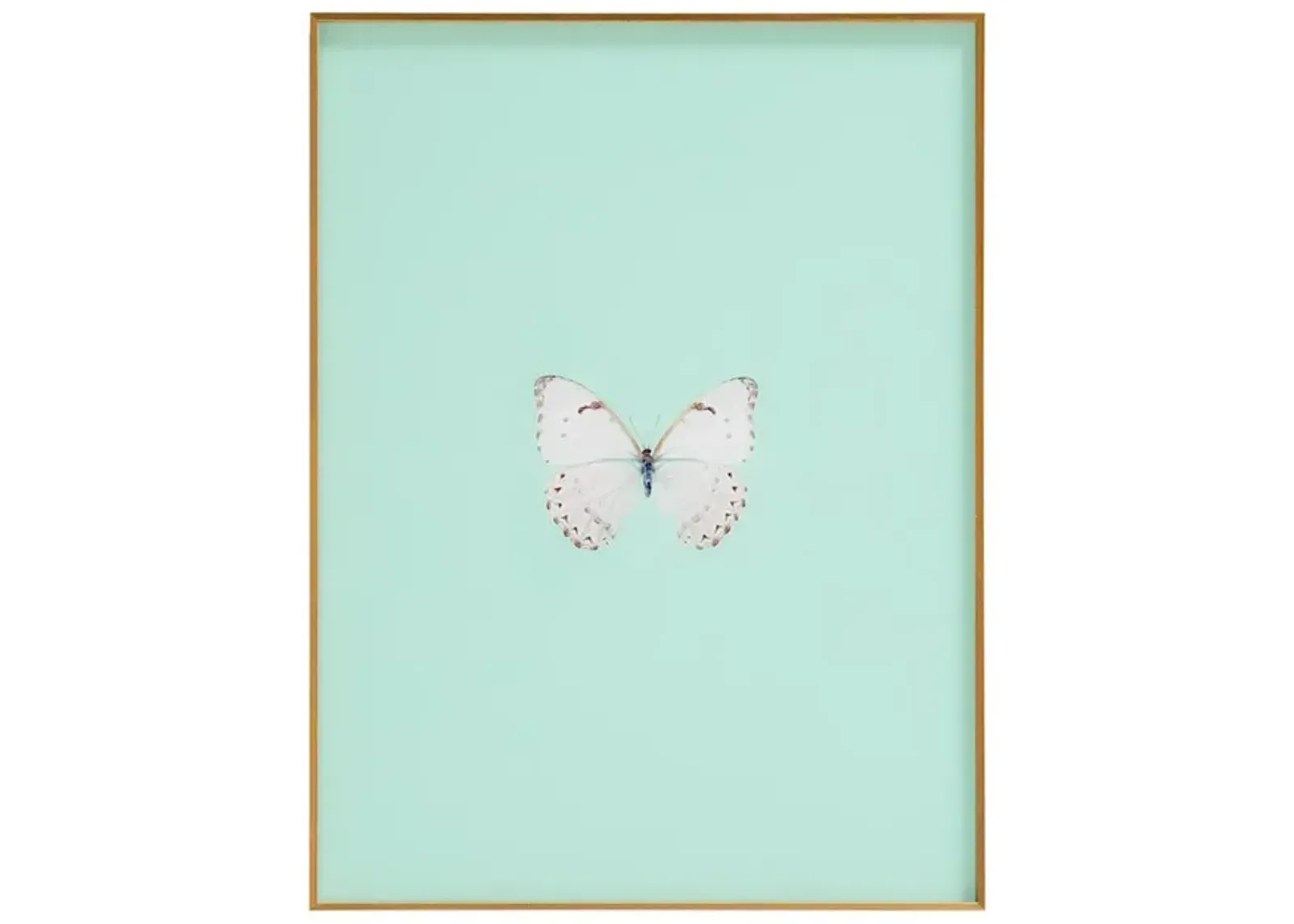 Framed Butterfly Print In Seafoam