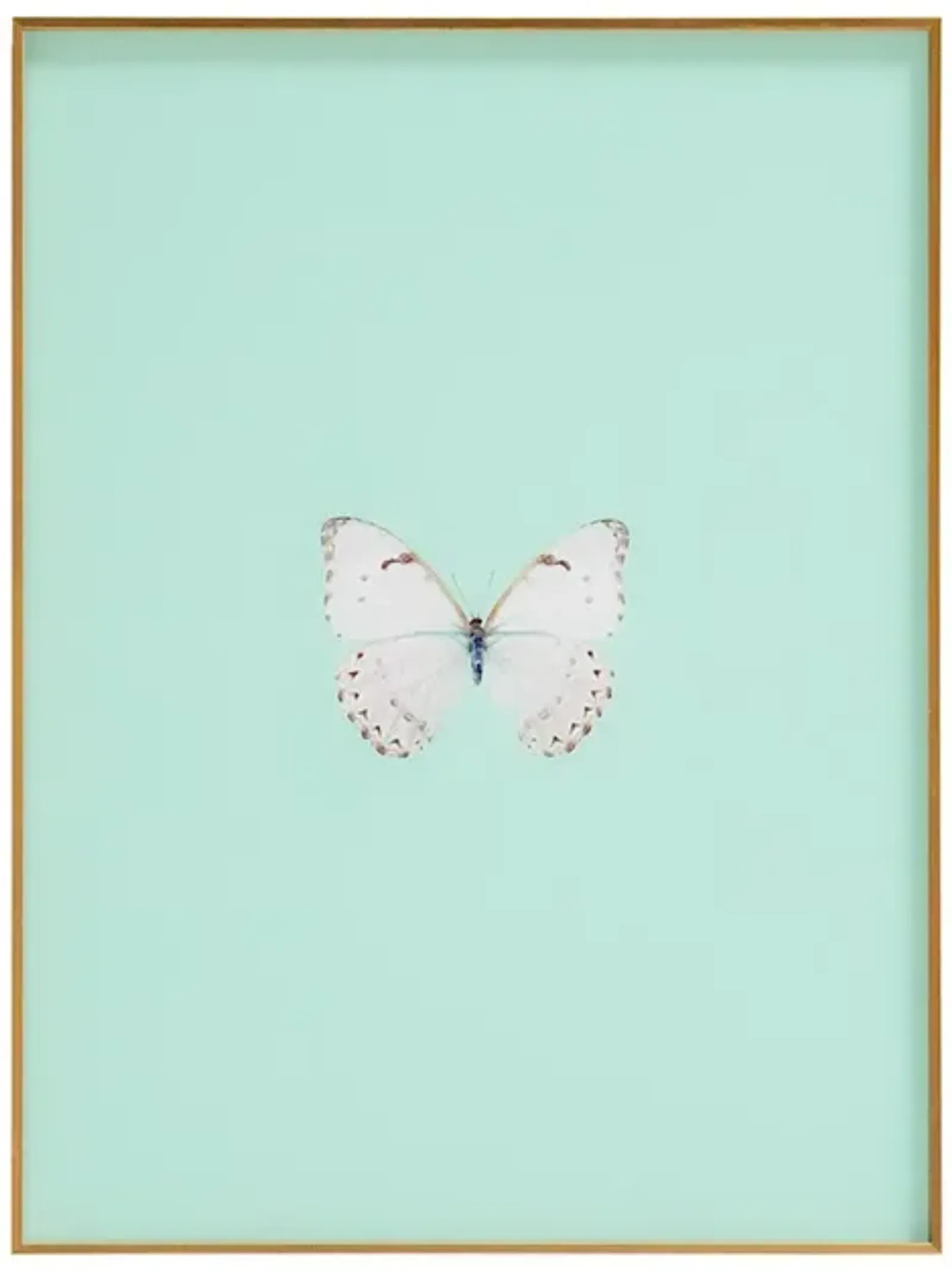 Framed Butterfly Print In Seafoam