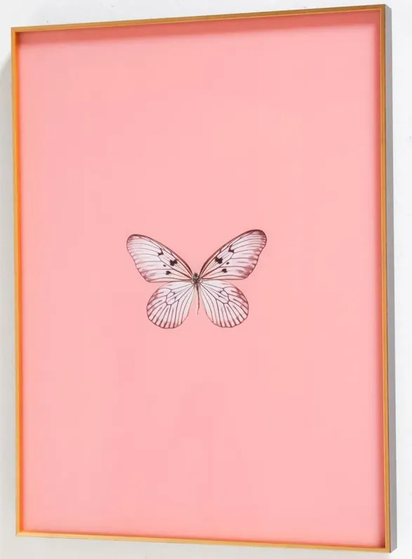 Framed Butterfly Print in Blush