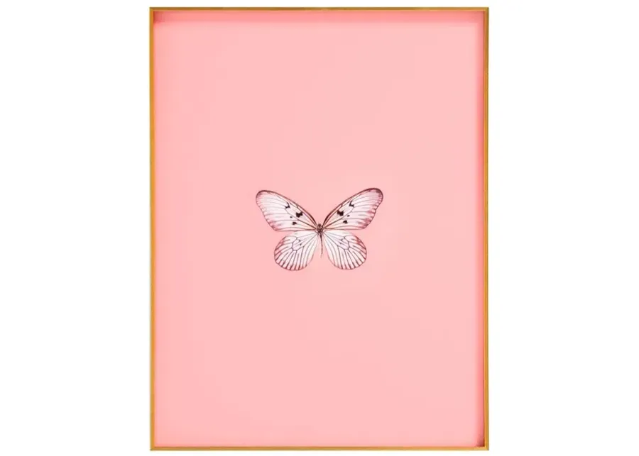 Framed Butterfly Print in Blush