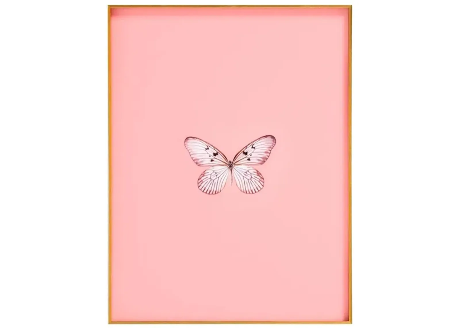 Framed Butterfly Print in Blush