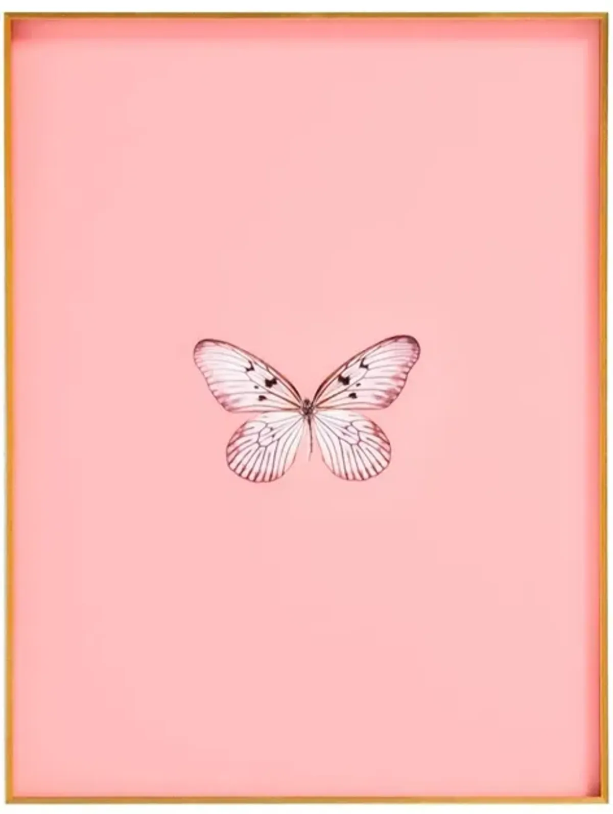 Framed Butterfly Print in Blush