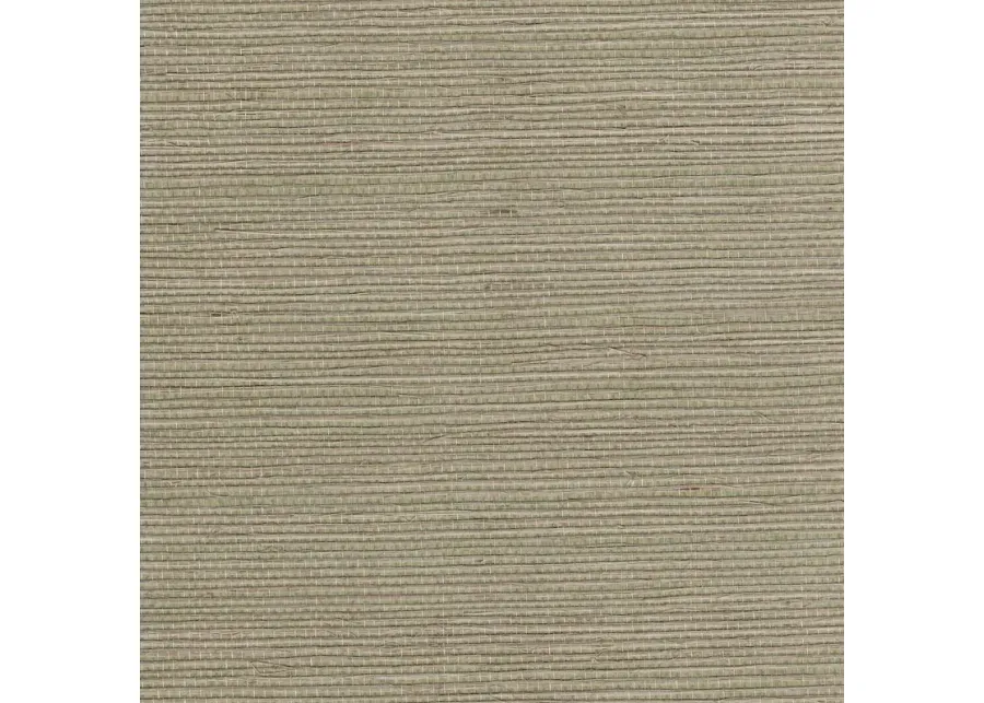 Darcy Sisal Grasscloth Wallpaper