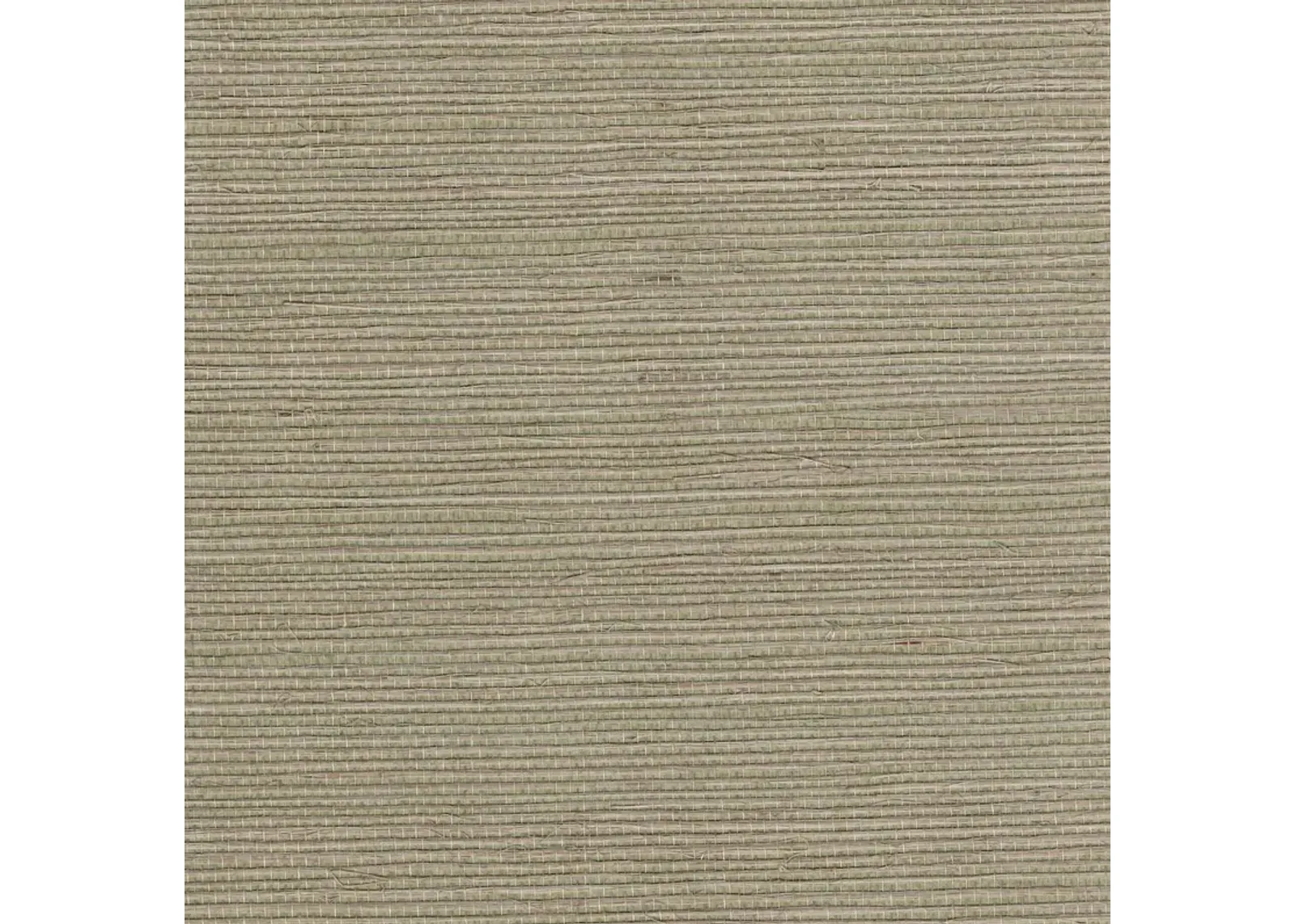 Darcy Sisal Grasscloth Wallpaper