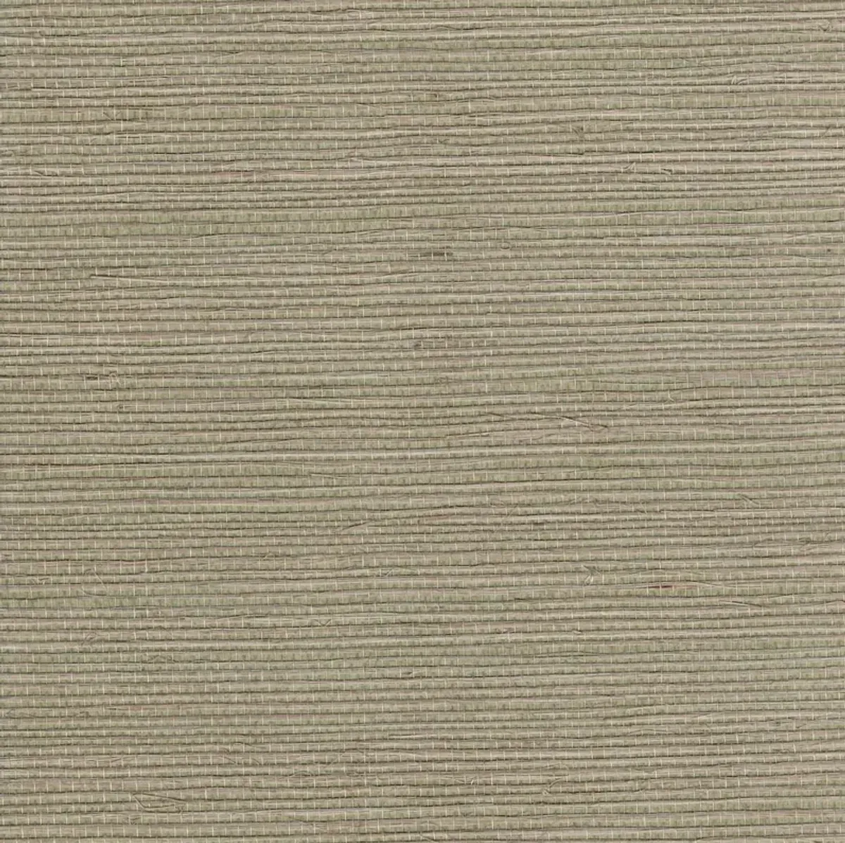 Darcy Sisal Grasscloth Wallpaper