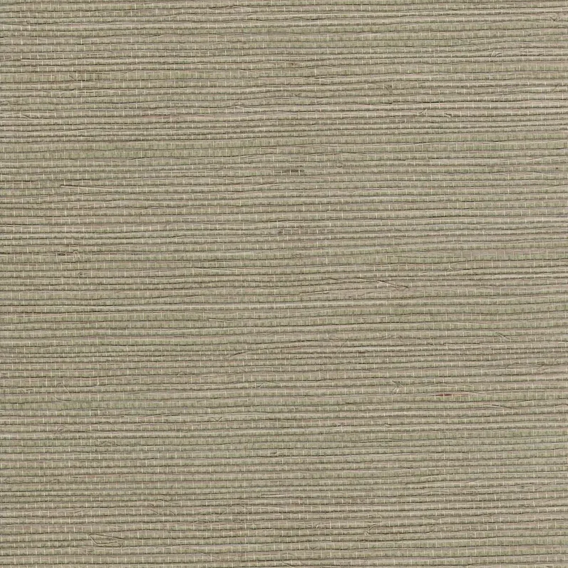 Darcy Sisal Grasscloth Wallpaper