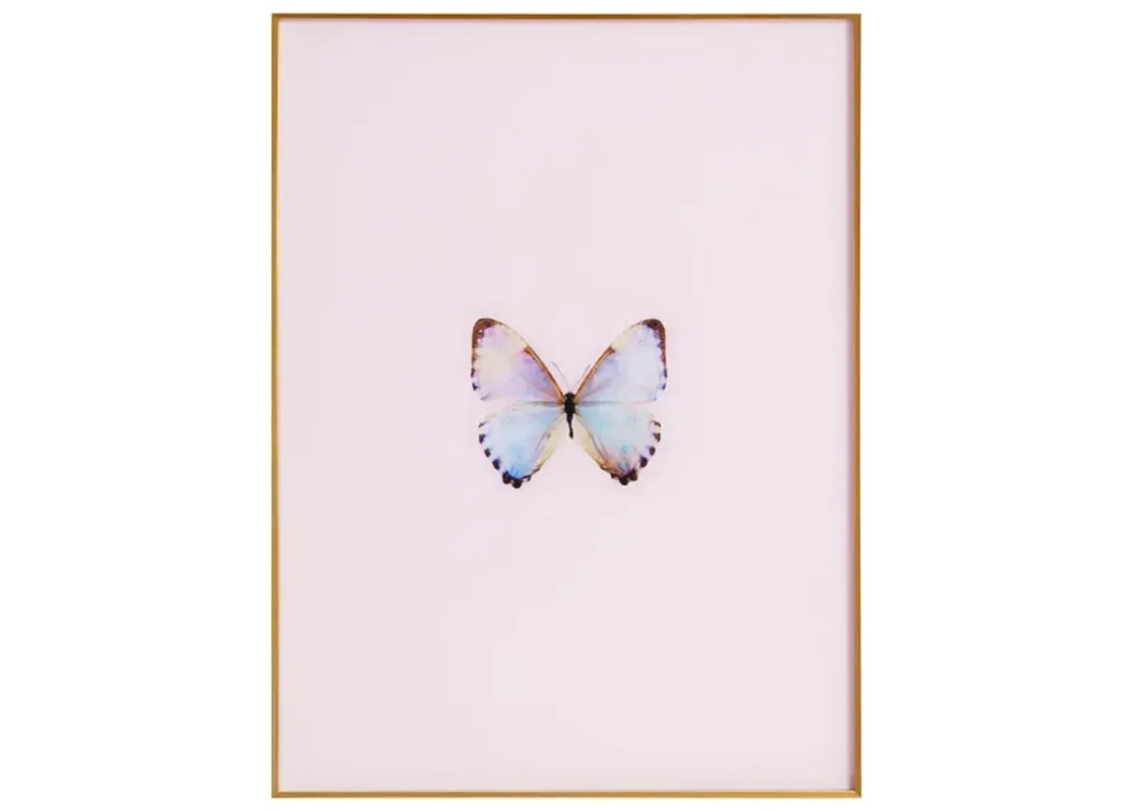 Framed Butterfly Print in Pink Marshmallow