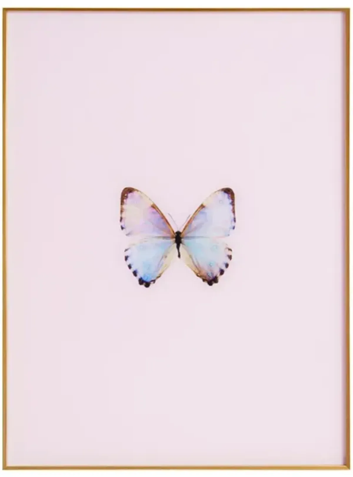 Framed Butterfly Print in Pink Marshmallow