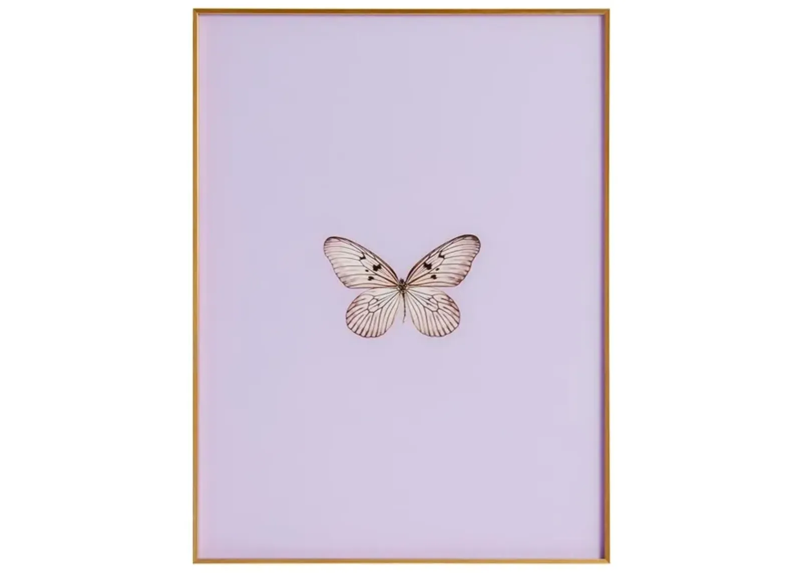 Framed Butterfly Print in Lavender