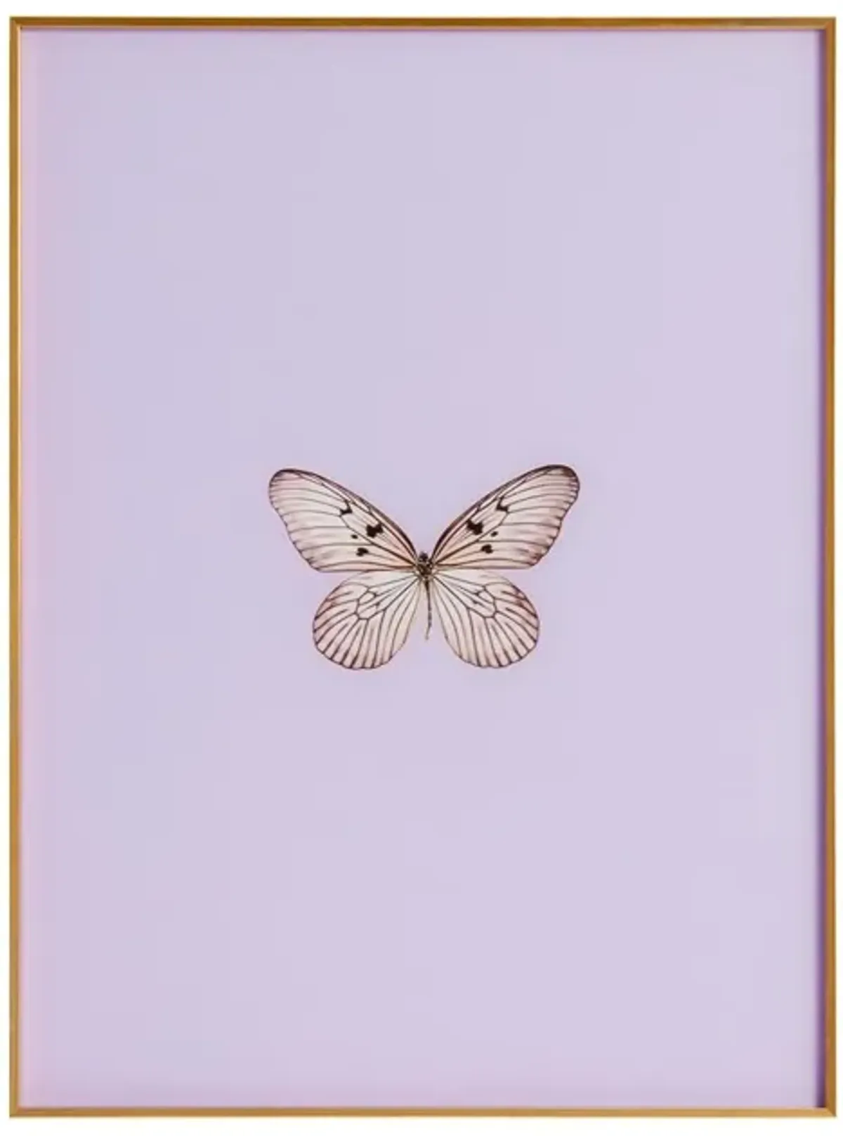 Framed Butterfly Print in Lavender