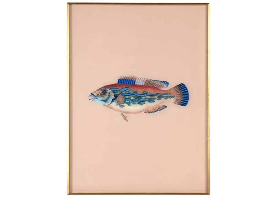 Framed Fish Print in Sand