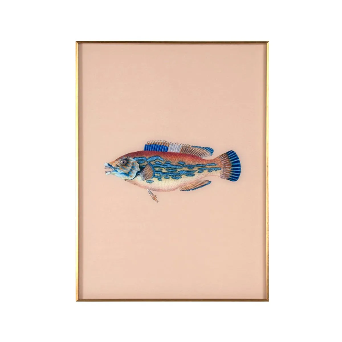 Framed Fish Print in Sand