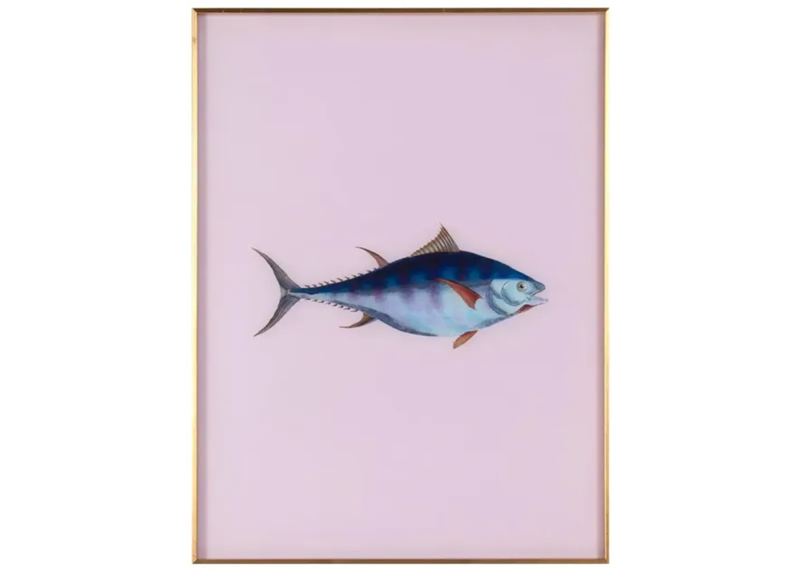 Framed Fish Print in Moonlight