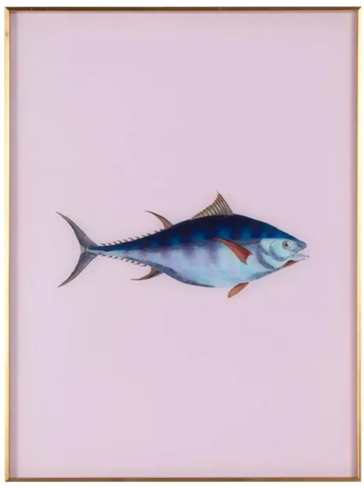 Framed Fish Print in Moonlight