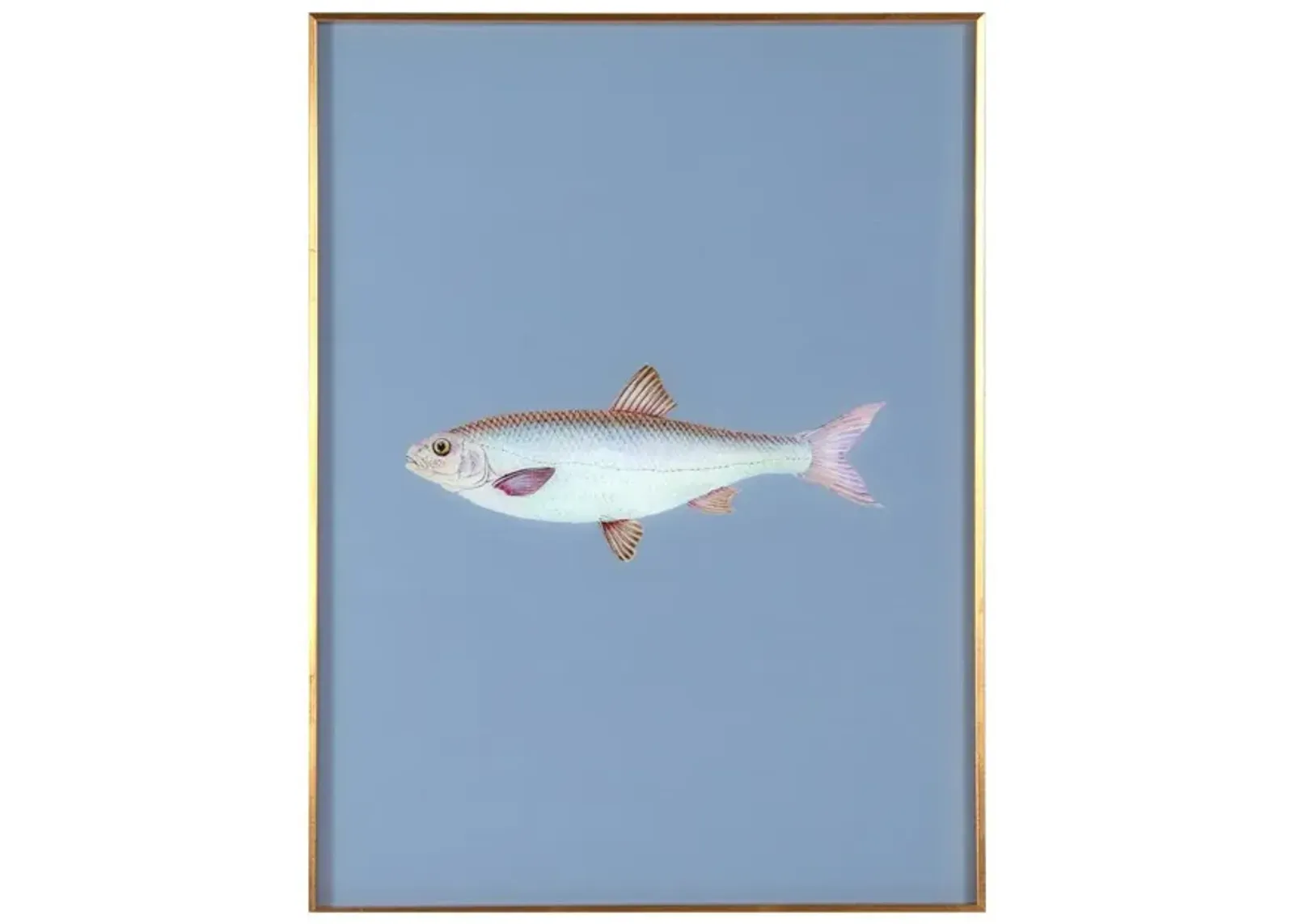 Framed Fish Print in Deep Sea Blue