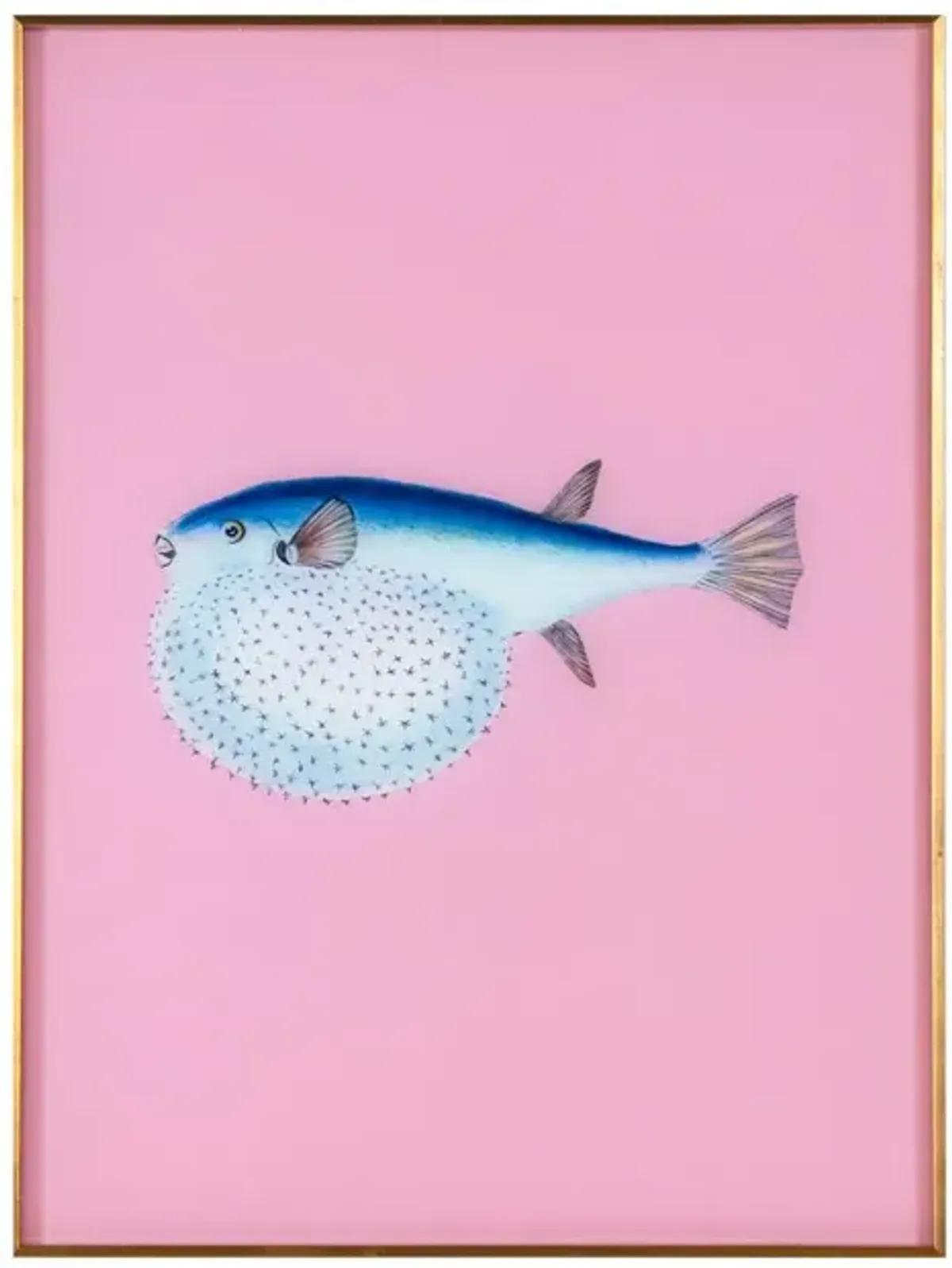 Framed Fish Print in Mermaid Pink